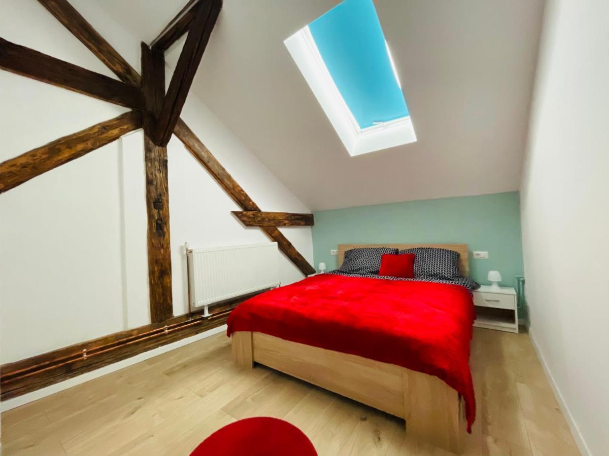 Loft In 1902 Art-nouveau Apartment Oradea